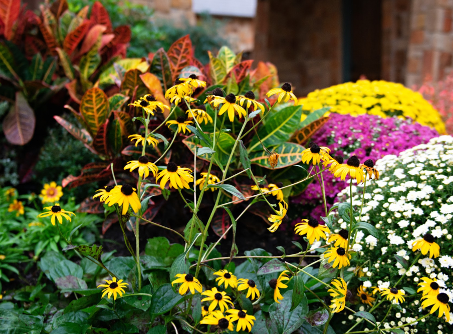 Navasota Cove project