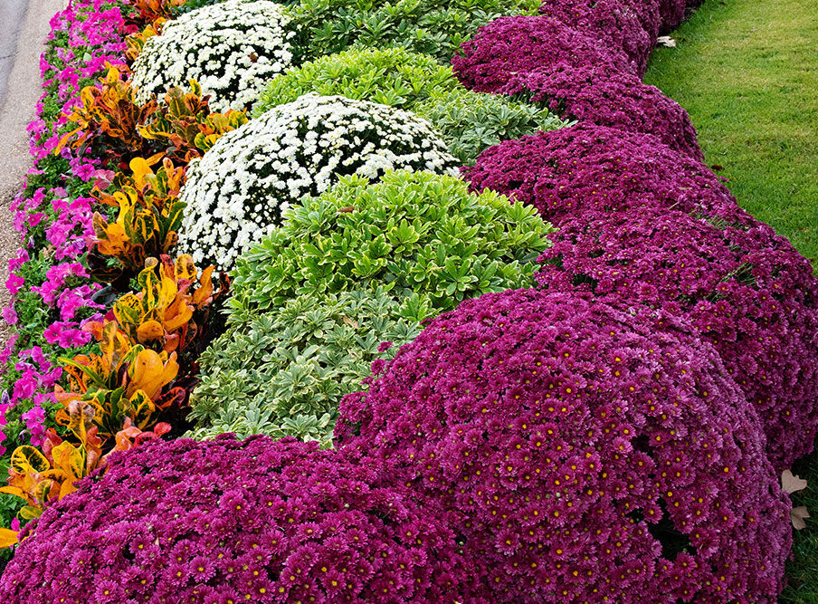 Navasota Cove project