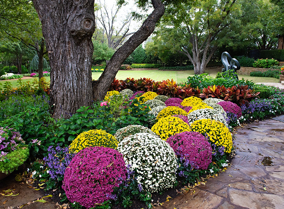 Navasota Cove project